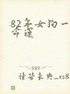 82年女狗一生命运