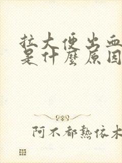 拉大便出血很多是什么原因