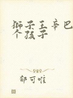 狮子王辛巴有几个孩子