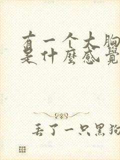 有一个大胸女友是什么感觉