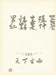 男性生殖器上长红点是什么原因封面