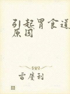 引起胃食道反流原因