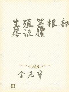 生殖器根部长疙瘩流脓