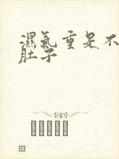 湿气重是不是大肚子