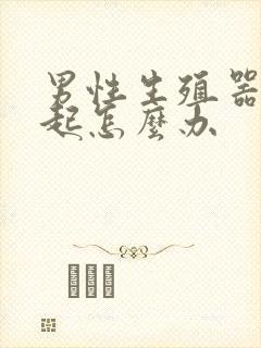 男性生殖器硬不起怎么办封面