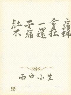 肚子一会痛一会不痛还拉稀怎么办封面