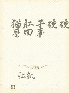 猫肚子硬硬的怎么回事