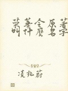 荣华令原著小说叫什么名字