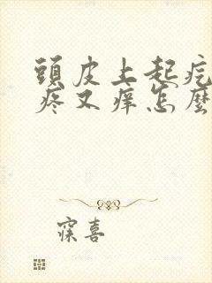 头皮上起疙瘩又疼又痒怎么回事