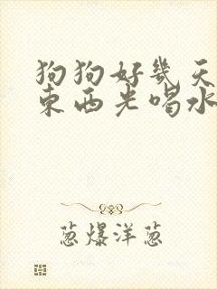 狗狗好几天不吃东西光喝水怎么办