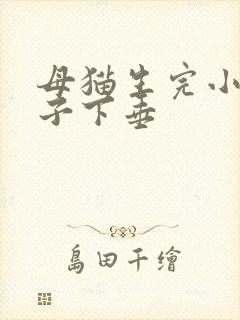 母猫生完小猫肚子下垂