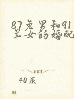 87兔男和91羊女的婚配
