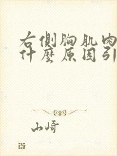 右侧胸肌肉疼痛什么原因引起的