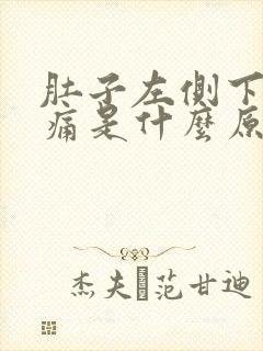 肚子左侧下腹疼痛是什么原因