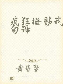 疯狂拨动我的小句号封面