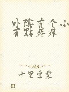 外阴有个小疙瘩有点疼痒