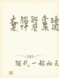 大脑兴奋睡不着是什么原因