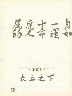 属虎十一月出生的人命运如何封面