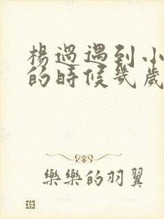 杨过遇到小龙女的时候几岁