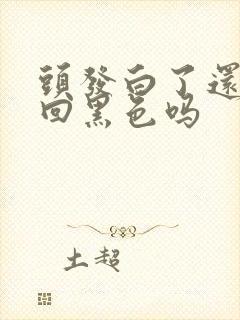 头发白了还能变回黑色吗封面