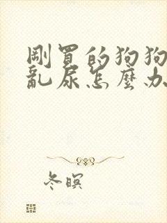 刚买的狗狗乱拉乱尿怎么办