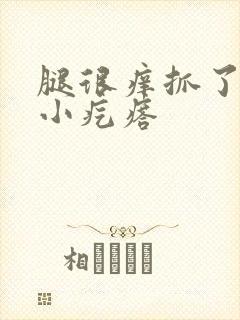 腿很痒抓了很多小疙瘩