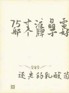 75寸液晶电视哪个牌子好