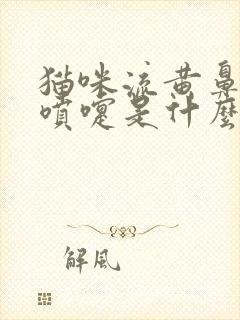 猫咪流黄鼻涕打喷嚏是什么原因