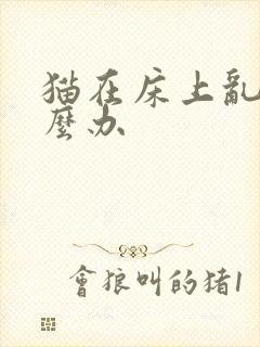 猫在床上乱尿怎么办