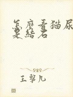 怎么看猫尿闭还是结石