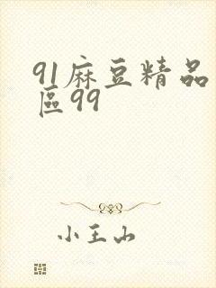 91麻豆精品一区99