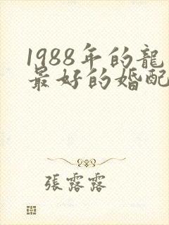 1988年的龙最好的婚配