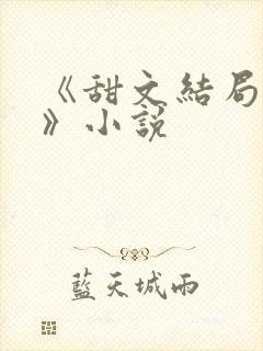 《甜文结局之后》小说