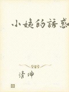 小姨的诱惑小说封面