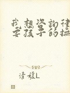 我想咨询律师我要孩子的抚养权问题