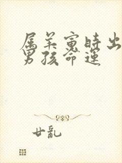 属羊寅时出生的男孩命运