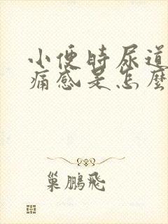 小便时尿道有刺痛感是怎么回事封面