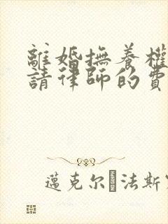 离婚抚养权纠纷请律师的费用