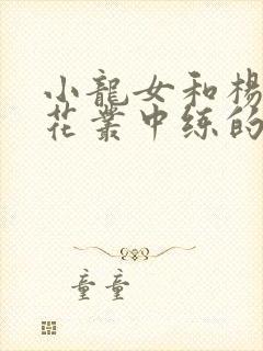 小龙女和杨过在花丛中练的什么功封面