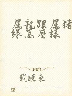 属龙跟属猪的姻缘怎么样