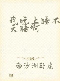 我晚上睡不着白天睡啊