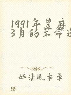 1991年农历3月的羊命运如何