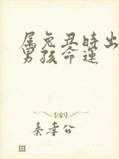 属兔丑时出生的男孩命运