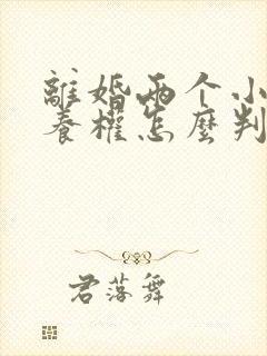 离婚两个小孩抚养权怎么判定