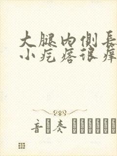 大腿内侧长红色小疙瘩很痒