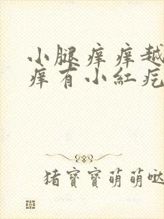 小腿痒痒越抓越痒有小红疙瘩