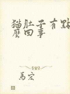 猫肚子有点硬怎么回事