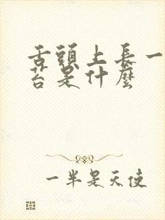 舌头上长一层白苔是什么封面