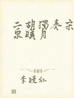 二胡独奏宋飞二泉映月