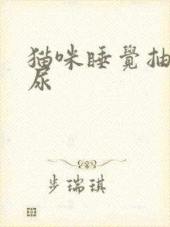 猫咪睡觉抽搐漏尿